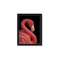 Picture of Flamingo Flame _GroupedProduct_Rectangle_Portrait_Photography _GroupedProduct_Rectangle_Portrait_Framed_Matted_