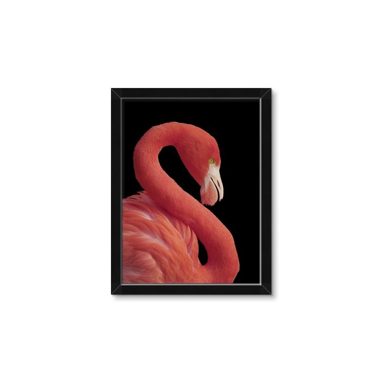 Picture of Flamingo Flame _GroupedProduct_Rectangle_Portrait_Photography _GroupedProduct_Rectangle_Portrait_Framed_Matted_