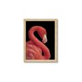 Picture of Flamingo Flame _GroupedProduct_Rectangle_Portrait_Photography _GroupedProduct_Rectangle_Portrait_Framed_Matted_