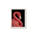 Picture of Flamingo Flame _GroupedProduct_Rectangle_Portrait_Photography _GroupedProduct_Rectangle_Portrait_Framed_Matted_