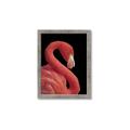 Picture of Flamingo Flame _GroupedProduct_Rectangle_Portrait_Photography _GroupedProduct_Rectangle_Portrait_Framed_Matted_