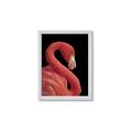 Picture of Flamingo Flame _GroupedProduct_Rectangle_Portrait_Photography _GroupedProduct_Rectangle_Portrait_Framed_Matted_
