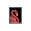 Picture of Flamingo Flame _GroupedProduct_Rectangle_Portrait_Photography _GroupedProduct_Rectangle_Portrait_Framed_Matted_