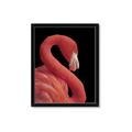 Picture of Flamingo Flame _GroupedProduct_Rectangle_Portrait_Photography _GroupedProduct_Rectangle_Portrait_Framed_Matted_