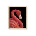 Picture of Flamingo Flame _GroupedProduct_Rectangle_Portrait_Photography _GroupedProduct_Rectangle_Portrait_Framed_Matted_