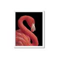 Picture of Flamingo Flame _GroupedProduct_Rectangle_Portrait_Photography _GroupedProduct_Rectangle_Portrait_Framed_Matted_