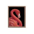 Picture of Flamingo Flame _GroupedProduct_Rectangle_Portrait_Photography _GroupedProduct_Rectangle_Portrait_Framed_Matted_