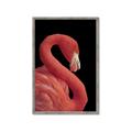 Picture of Flamingo Flame _GroupedProduct_Rectangle_Portrait_Photography _GroupedProduct_Rectangle_Portrait_Framed_Matted_
