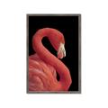 Picture of Flamingo Flame _GroupedProduct_Rectangle_Portrait_Photography _GroupedProduct_Rectangle_Portrait_Framed_Matted_