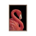 Picture of Flamingo Flame _GroupedProduct_Rectangle_Portrait_Photography _GroupedProduct_Rectangle_Portrait_Framed_Matted_