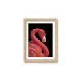 Picture of Flamingo Flame _GroupedProduct_Rectangle_Portrait_Photography _GroupedProduct_Rectangle_Portrait_Framed_Matted_