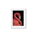 Picture of Flamingo Flame _GroupedProduct_Rectangle_Portrait_Photography _GroupedProduct_Rectangle_Portrait_Framed_Matted_