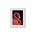 Picture of Flamingo Flame _GroupedProduct_Rectangle_Portrait_Photography _GroupedProduct_Rectangle_Portrait_Framed_Matted_