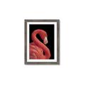 Picture of Flamingo Flame _GroupedProduct_Rectangle_Portrait_Photography _GroupedProduct_Rectangle_Portrait_Framed_Matted_