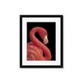 Picture of Flamingo Flame _GroupedProduct_Rectangle_Portrait_Photography _GroupedProduct_Rectangle_Portrait_Framed_Matted_