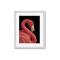 Picture of Flamingo Flame _GroupedProduct_Rectangle_Portrait_Photography _GroupedProduct_Rectangle_Portrait_Framed_Matted_