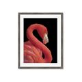 Picture of Flamingo Flame _GroupedProduct_Rectangle_Portrait_Photography _GroupedProduct_Rectangle_Portrait_Framed_Matted_