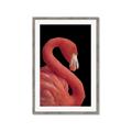Picture of Flamingo Flame _GroupedProduct_Rectangle_Portrait_Photography _GroupedProduct_Rectangle_Portrait_Framed_Matted_