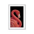 Picture of Flamingo Flame _GroupedProduct_Rectangle_Portrait_Photography _GroupedProduct_Rectangle_Portrait_Framed_Matted_