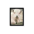 Picture of Furry Cow _GroupedProduct_Rectangle_Portrait_Photography _GroupedProduct_Rectangle_Portrait_Framed_Matted_