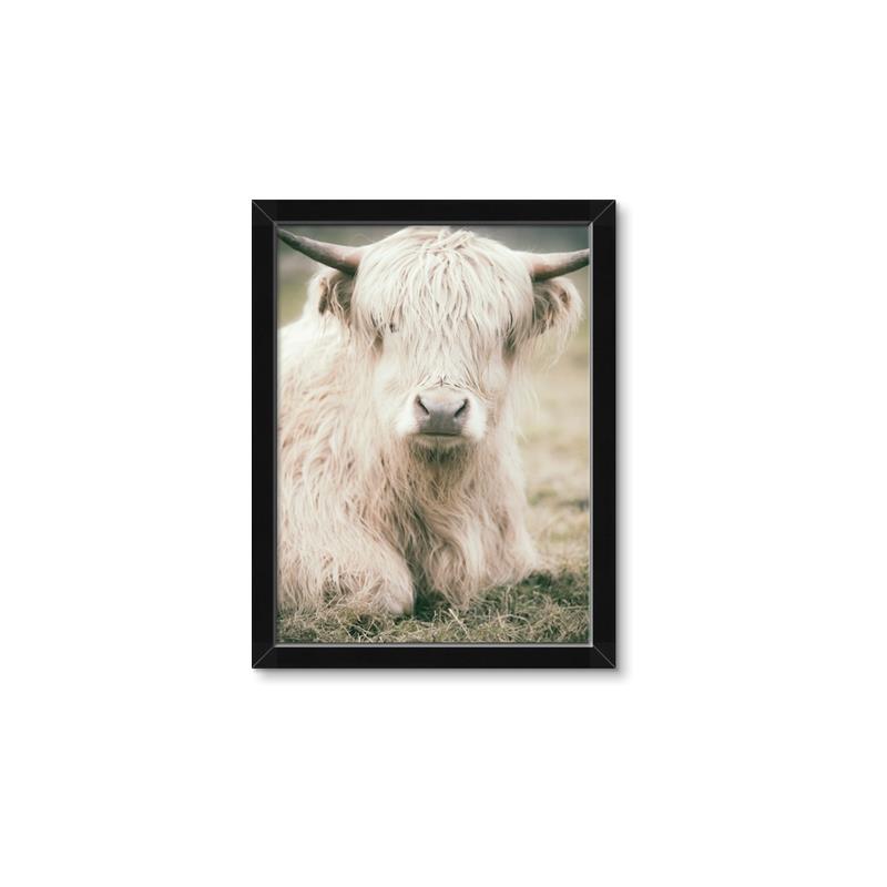 Picture of Furry Cow _GroupedProduct_Rectangle_Portrait_Photography _GroupedProduct_Rectangle_Portrait_Framed_Matted_