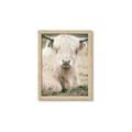 Picture of Furry Cow _GroupedProduct_Rectangle_Portrait_Photography _GroupedProduct_Rectangle_Portrait_Framed_Matted_
