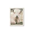 Picture of Furry Cow _GroupedProduct_Rectangle_Portrait_Photography _GroupedProduct_Rectangle_Portrait_Framed_Matted_