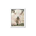 Picture of Furry Cow _GroupedProduct_Rectangle_Portrait_Photography _GroupedProduct_Rectangle_Portrait_Framed_Matted_