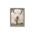 Picture of Furry Cow _GroupedProduct_Rectangle_Portrait_Photography _GroupedProduct_Rectangle_Portrait_Framed_Matted_