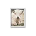 Picture of Furry Cow _GroupedProduct_Rectangle_Portrait_Photography _GroupedProduct_Rectangle_Portrait_Framed_Matted_