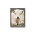 Picture of Furry Cow _GroupedProduct_Rectangle_Portrait_Photography _GroupedProduct_Rectangle_Portrait_Framed_Matted_