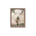 Picture of Furry Cow _GroupedProduct_Rectangle_Portrait_Photography _GroupedProduct_Rectangle_Portrait_Framed_Matted_