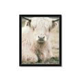 Picture of Furry Cow _GroupedProduct_Rectangle_Portrait_Photography _GroupedProduct_Rectangle_Portrait_Framed_Matted_