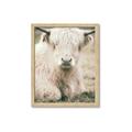 Picture of Furry Cow _GroupedProduct_Rectangle_Portrait_Photography _GroupedProduct_Rectangle_Portrait_Framed_Matted_