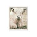 Picture of Furry Cow _GroupedProduct_Rectangle_Portrait_Photography _GroupedProduct_Rectangle_Portrait_Framed_Matted_