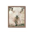 Picture of Furry Cow _GroupedProduct_Rectangle_Portrait_Photography _GroupedProduct_Rectangle_Portrait_Framed_Matted_