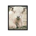 Picture of Furry Cow _GroupedProduct_Rectangle_Portrait_Photography _GroupedProduct_Rectangle_Portrait_Framed_Matted_