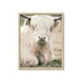 Picture of Furry Cow _GroupedProduct_Rectangle_Portrait_Photography _GroupedProduct_Rectangle_Portrait_Framed_Matted_