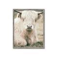 Picture of Furry Cow _GroupedProduct_Rectangle_Portrait_Photography _GroupedProduct_Rectangle_Portrait_Framed_Matted_