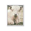 Picture of Furry Cow _GroupedProduct_Rectangle_Portrait_Photography _GroupedProduct_Rectangle_Portrait_Framed_Matted_
