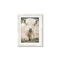 Picture of Furry Cow _GroupedProduct_Rectangle_Portrait_Photography _GroupedProduct_Rectangle_Portrait_Framed_Matted_