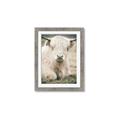 Picture of Furry Cow _GroupedProduct_Rectangle_Portrait_Photography _GroupedProduct_Rectangle_Portrait_Framed_Matted_