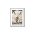 Picture of Furry Cow _GroupedProduct_Rectangle_Portrait_Photography _GroupedProduct_Rectangle_Portrait_Framed_Matted_