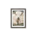 Picture of Furry Cow _GroupedProduct_Rectangle_Portrait_Photography _GroupedProduct_Rectangle_Portrait_Framed_Matted_