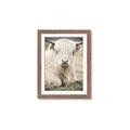 Picture of Furry Cow _GroupedProduct_Rectangle_Portrait_Photography _GroupedProduct_Rectangle_Portrait_Framed_Matted_