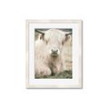Picture of Furry Cow _GroupedProduct_Rectangle_Portrait_Photography _GroupedProduct_Rectangle_Portrait_Framed_Matted_