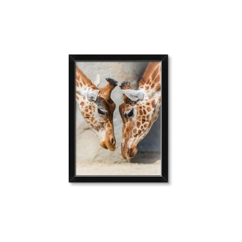Picture of Giraffe Pals  _GroupedProduct_Rectangle_Portrait_Photography _GroupedProduct_Rectangle_Portrait_Framed_Matted_