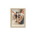 Picture of Giraffe Pals  _GroupedProduct_Rectangle_Portrait_Photography _GroupedProduct_Rectangle_Portrait_Framed_Matted_