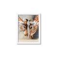 Picture of Giraffe Pals  _GroupedProduct_Rectangle_Portrait_Photography _GroupedProduct_Rectangle_Portrait_Framed_Matted_