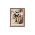 Picture of Giraffe Pals  _GroupedProduct_Rectangle_Portrait_Photography _GroupedProduct_Rectangle_Portrait_Framed_Matted_